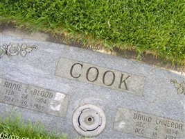 David Laverda Cook David Laverda Cook
