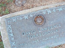 David Lawrence Torregrossa