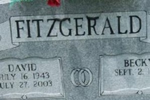 David Lee Fitzgerald David Lee Fitzgerald