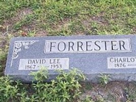 David Lee Forrester