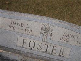 David Lee Foster