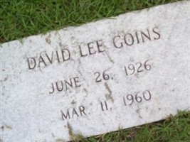 David Lee Goins David Lee Goins