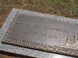 David Lee Johnson