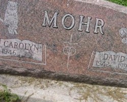 David Lee Mohr