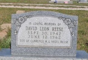 David Leon Reese David Leon Reese