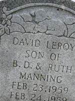 David Leroy Manning