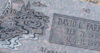 David Leslie "Less" Farrow, Sr David Leslie "Less" Farrow, Sr
