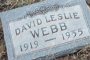 David Leslie Webb (1891641.jpg) David Leslie Webb (1891641.jpg)