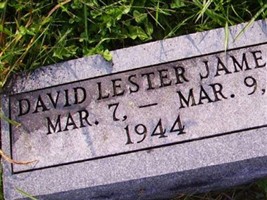 David Lester James