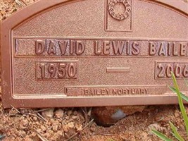 David Lewis Bailey David Lewis Bailey