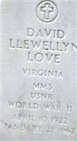 David Llewellyn Love
