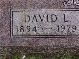 David Lloyd Nelson David Lloyd Nelson