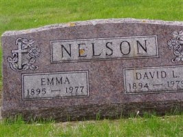 David Lloyd Nelson David Lloyd Nelson