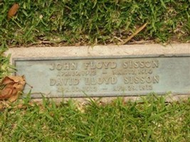 David Lloyd Sisson