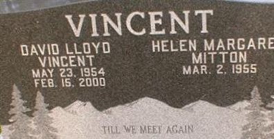David Lloyd Vincent David Lloyd Vincent