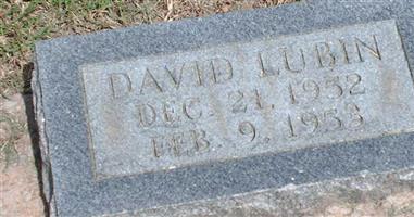 David Lubin