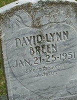 David Lynn Breen