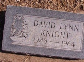 David Lynn Knight