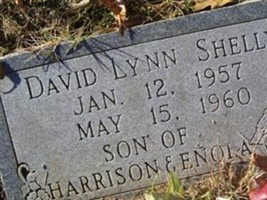 David Lynn Shelly