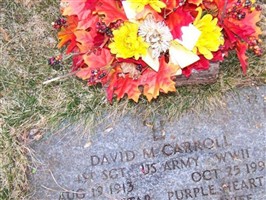David M Carroll David M Carroll