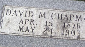 David M Chapman David M Chapman