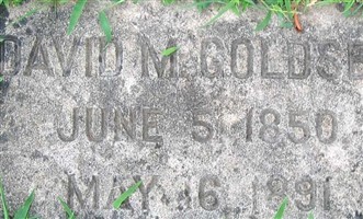 David M Goldsby David M Goldsby