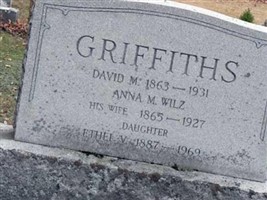 David M. Griffiths David M. Griffiths
