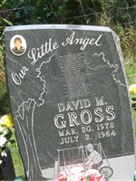 David M. Gross David M. Gross