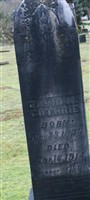 David M Guthrie