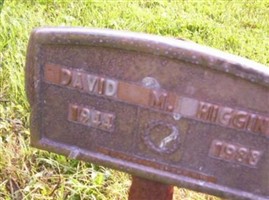 David M. Higgins David M. Higgins