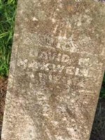 David M Maxwell David M Maxwell