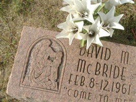 David M. McBride David M. McBride