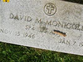 David M Monigold