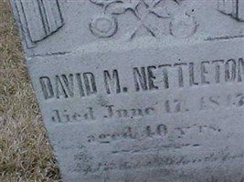 David M Nettleton