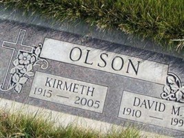 David M Olson David M Olson