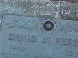 David M Perry David M Perry