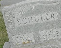 David M. Schuler