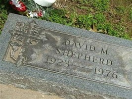 David M Shepherd David M Shepherd