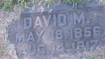 David M Stephens David M Stephens