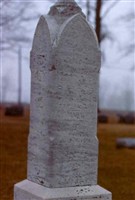David M. Welch