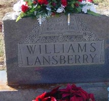David M Williams David M Williams