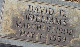 David M Williams David M Williams