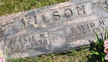 David M Wilson