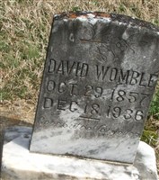 David M. Womble David M. Womble