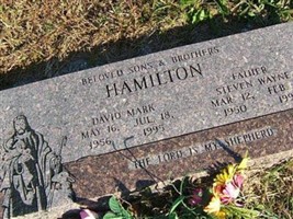 David Mark Hamilton David Mark Hamilton