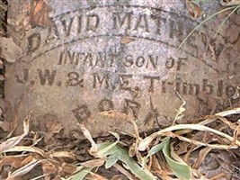 David Mathew Trimble David Mathew Trimble