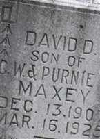 David Maxey David Maxey