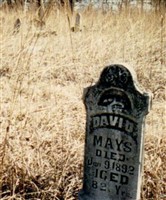 David Mays David Mays