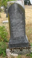 David McBee