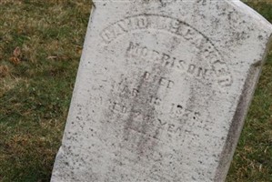 David McCarter Morrison